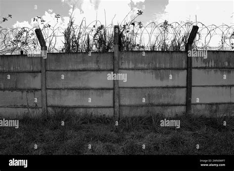 ไwire basket frame for concrete cabinets - Etercnoc