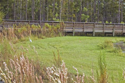 Collier Regional Park