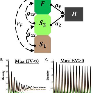 Image result for Pro Model Simulation