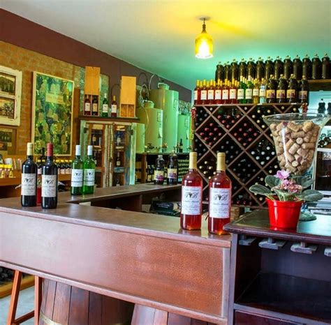 ADEGA FAMÍLIA BACCETTI (2026) All You Need to Know BEFORE You Go (with ...