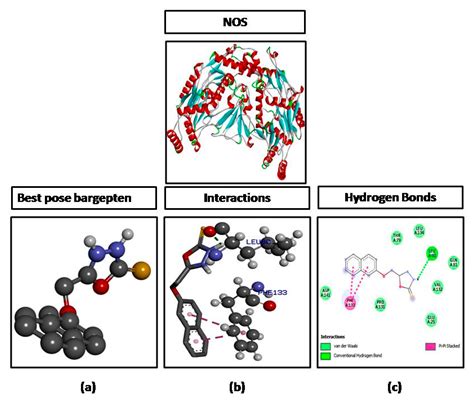 1,3,4-Oxadiazole Derivative Attenuates Chronic Constriction Injury ...