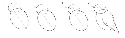 Image result for Drawing Birds Tutorial
