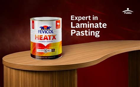 Fevicol Heatx - Fast Setting Heatproof Adhesive | Sets in 10minutes ...