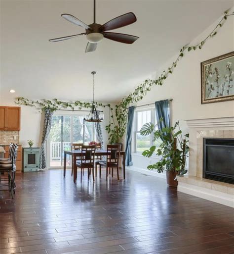 I’m moving next month. How do I move my climbing plant without damaging it? : r/plants