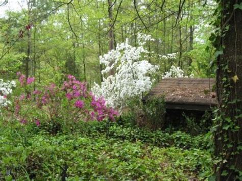 THE BEST Places to Visit in Statham (2025) - Must-See Attractions