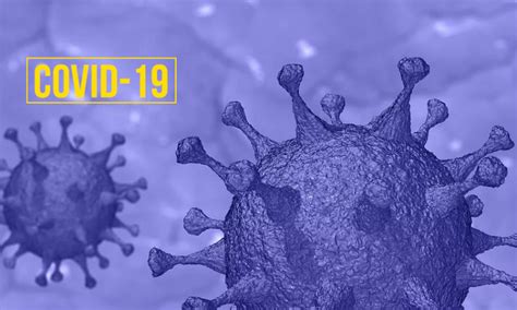 "Advocates Must Explain To Client What Is and Isn't Permissible ...