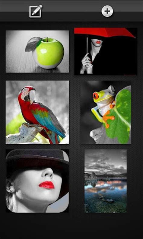 Color Splash App 的图像结果
