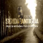 LT29 Radio Venado Tuerto en vivo - Venado Tuerto 101.3 FM