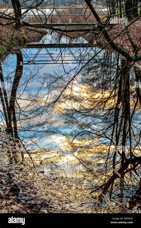 Photo 的图像结果