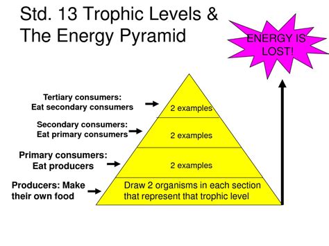 Energy Pyramid Examples 的图像结果