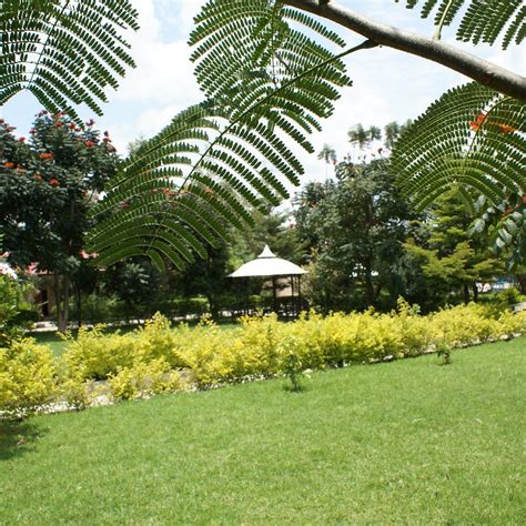 GEZAHEGN AND ELFENESH HOTEL AND RESORTS (Awasa) - Hotel Reviews ...