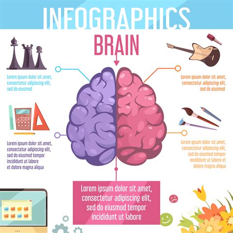 Brain Infographic Template