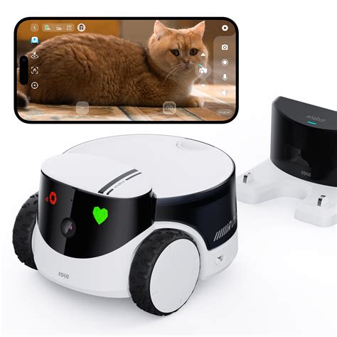 Is A Robot Pet Cat The Perfect Lowmaintenance Companion For You?