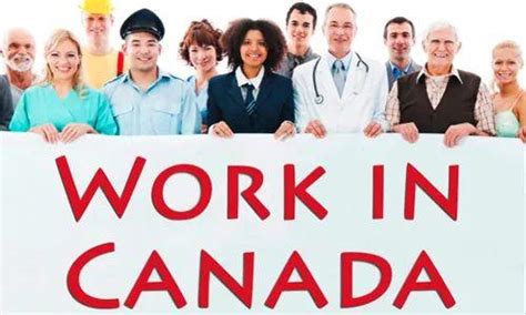 加拿大哪些学校和专业最好找工作？ - 知乎