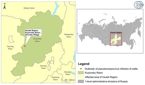 Description of Zoonotic Pseudocowpoxvirus Infection of Cattle in Russia