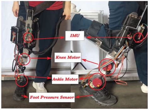 An Individual Prosthesis Control Method with Human Subjective Choices
