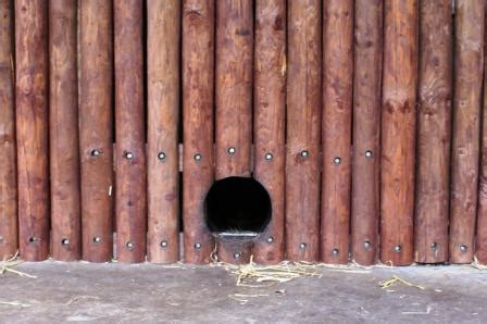 ZooLex Image - Coatimundis' Entrance