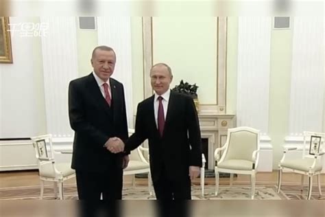 埃尔多安：普京可能会在4月27日访问土耳其 参加核电站落成典礼