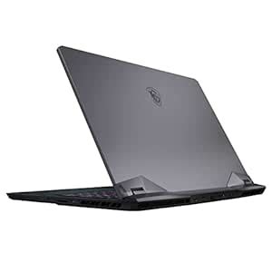 MSI GE76 Raider Gaming Laptop | 17.3" FHD IPS 144Hz | Intel 14-core i9 ...