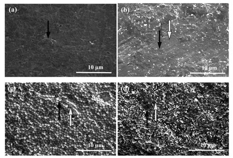 Selenium-Doped Hydroxyapatite Nanocrystals–Synthesis, Physicochemical ...