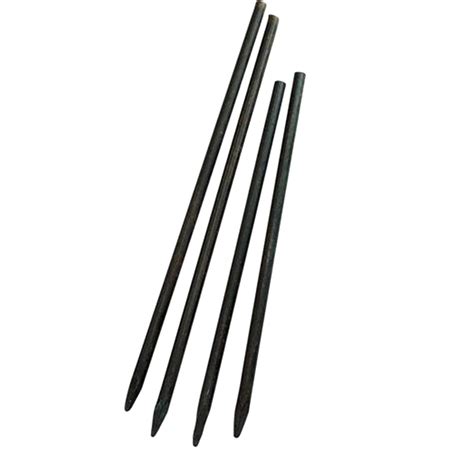 Stakes for Raspberry Plants 的图像结果