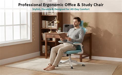 Rocco Flexo Ergonomic Office Chair/Study Chair/Computer Chair (with ...