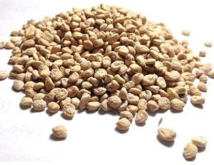 Rathore Trading Company Neemuch - Sarpagandha Roots Exporter and Supplier