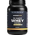 Nutrabay Gold Tri Blend Whey Protein Powder - 1kg, Mango Milkshake ...