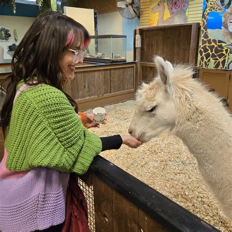 Bailey J Hess (@baileyonair) • Instagram photos and videos