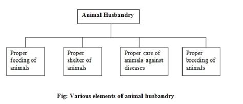 What are the main practices involved in keeping of animals or animal ...