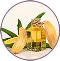 Buy Kids Mango 3-in-1 Tip to Toe Wash Online Online At Best Price