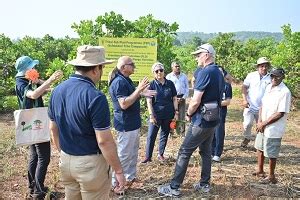 Board of Trustees for CIFOR-ICRAF visited the FLD trial of ICAR-CCARI ...