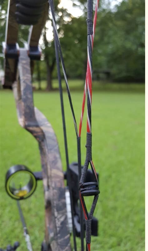 Image result for Custom Compound Bow