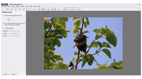 Image result for Using Magix Beginners