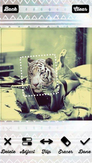 Animal Face APK Download for Android Free