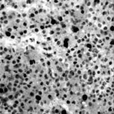 Image result for Solving Algorithm Analysis