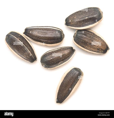 Do Raw Sunflower Seeds Expire at Randy Eubanks blog