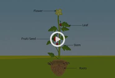 Smart Classroom Solution | Digital Smart Class