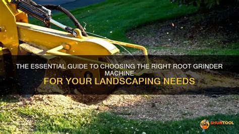 Image result for Root Grinder