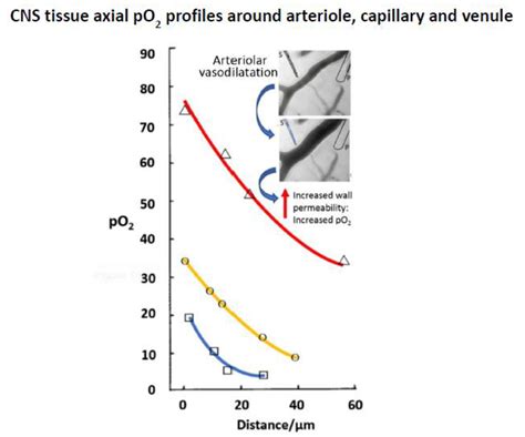 Monitoring with In Vivo Electrochemical Sensors: Navigating the ...