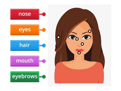 Image result for Face Features