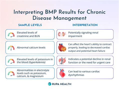The Role of the Basic Metabolic Panel in Chronic Disease Management
