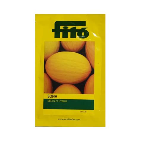 Sona MuskMelon Seeds - Fito | F1 Hybrid | Buy Online at Best Price ...