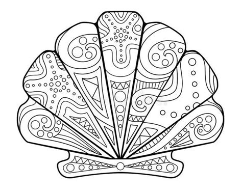Scallop Shell Drawing 的图像结果