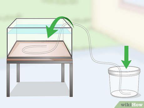 Image result for Siphon