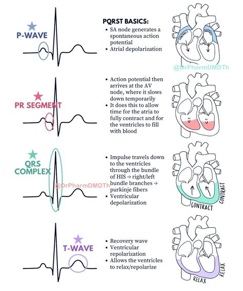 Pin by Nacho Redondo García on Anestesia | Nursing school notes, Medical school essentials ...