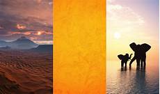best wallpapers for iphone the best wallpaper apps for iphone best wallpapers for iphone the best wallpaper apps for iphone