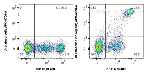 CD14 antibody (CL700-65616) | Proteintech