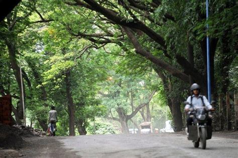 Why Aarey Forest Is Close To My Heart As Mumbaikar, And Killing 2700 ...