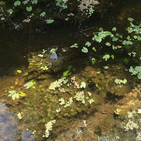 Arulmigu Masani Amman Temple (Pollachi Town) - 2021 What to Know Before ...